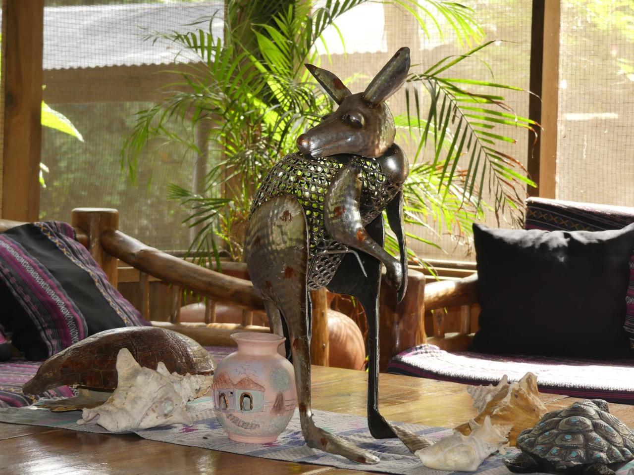 Hotel Kangaroo Y Restaurante نهر دولسي المظهر الخارجي الصورة